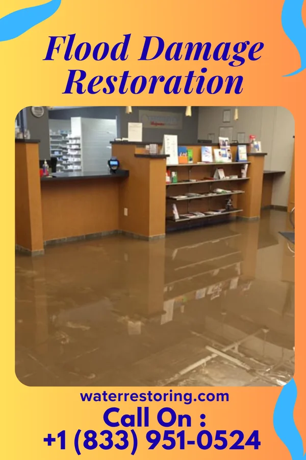 Flood Damage Restoration in Newport, IN