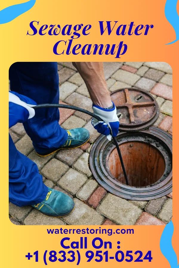 Sewage Water Cleanup in Newport, IN
