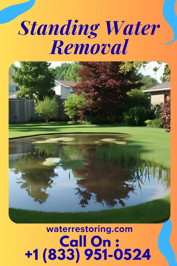 Standing Water Removal in Newport, IN